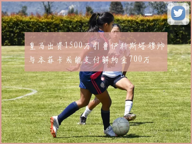 皇马出资1500万引鲁伊科斯塔穆帅与本菲卡或能支付解约金700万