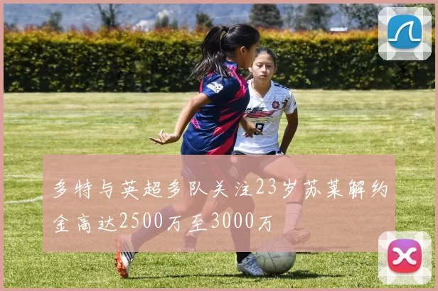 多特与英超多队关注23岁苏莱解约金高达2500万至3000万